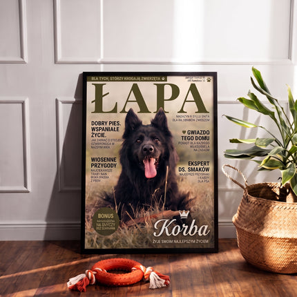 Magazyn Łapa