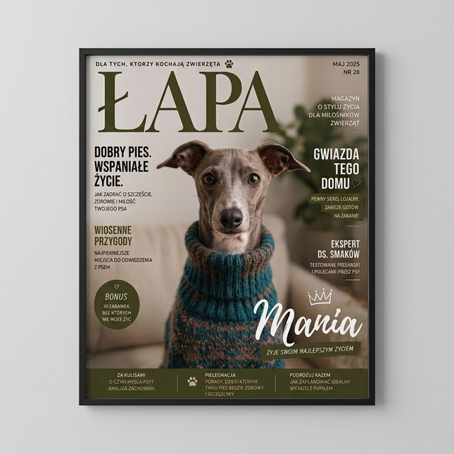 Magazyn Łapa