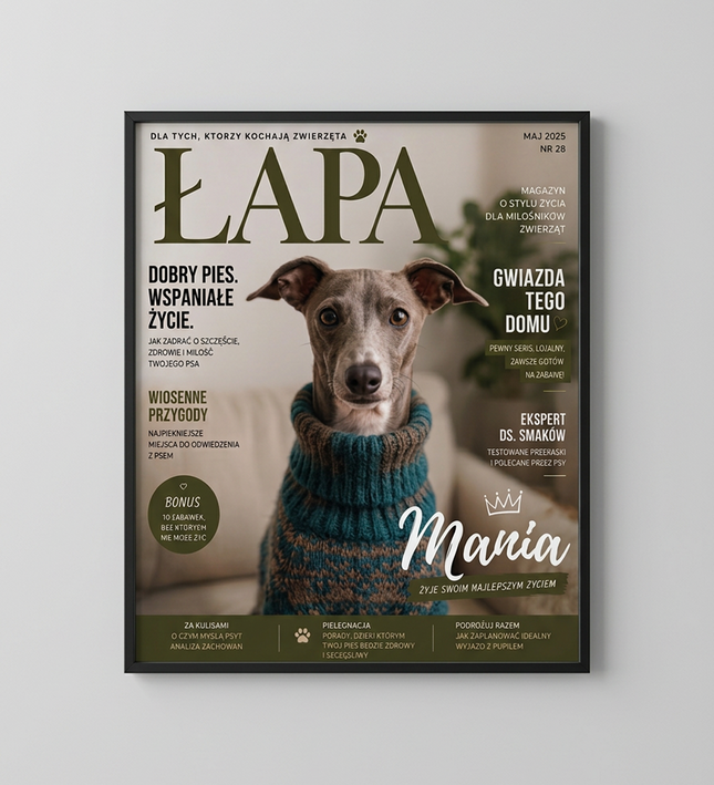 Magazyn Łapa
