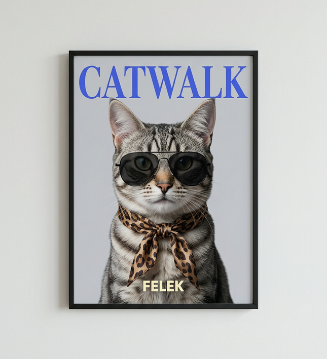 Catwalk
