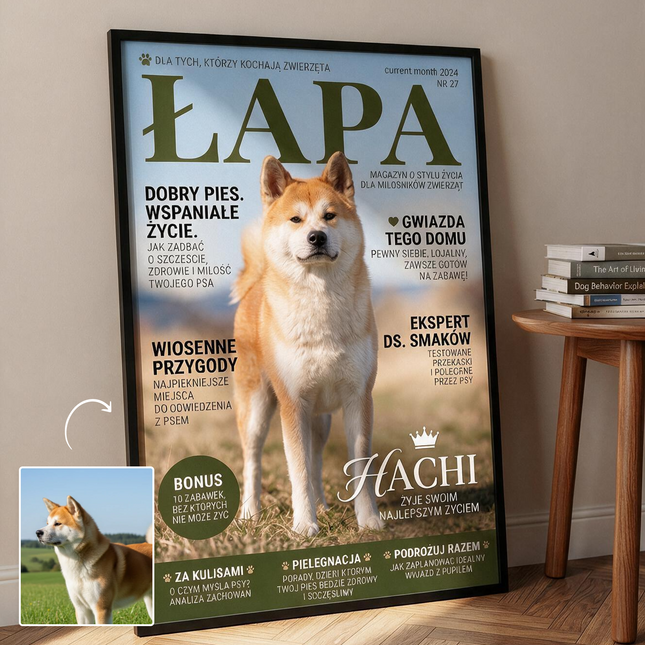 Magazyn Łapa