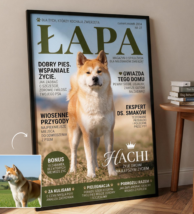 Magazyn Łapa