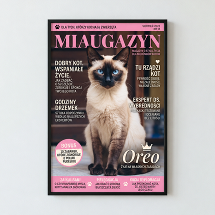 Miaugazyn