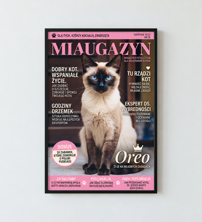 Miaugazyn